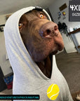 Hooded Sweatshirt For Dogs - Chocolate Lab wearing Ball Brain Hooded Sweatshirt - gray with yellow ball on front - sitting indoors - Wag Trendz