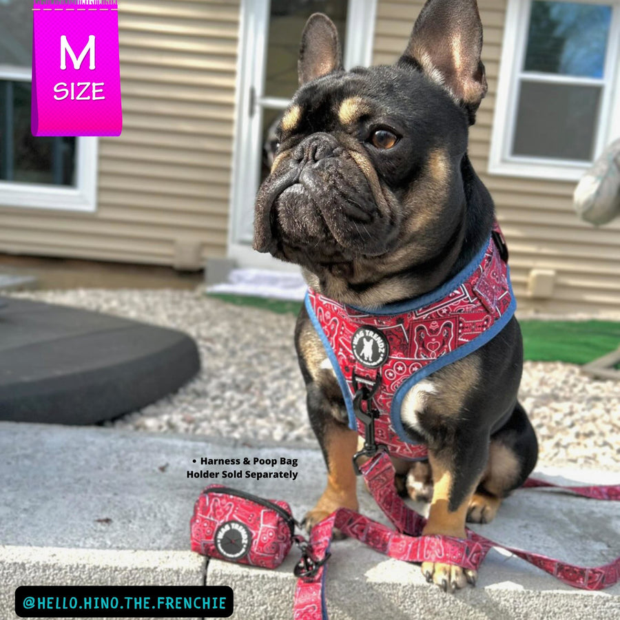 Adjustable Dog Leash - French Bulldog wearing Red Bandana Boujee Harness with leash attached and Denim Accents - sitting outdoors with a brown house in background - Wag Trendz
