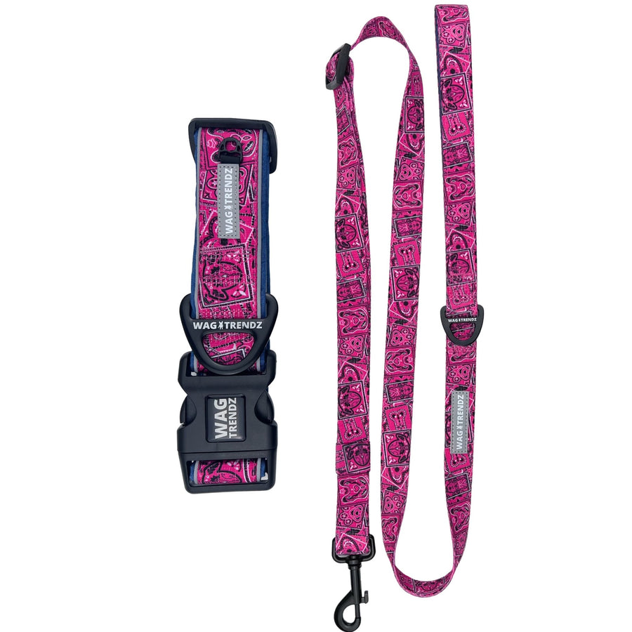 Dog Collar and Leash Set - Bandana Boujee Hot Pink Reflective Dog Collar and matching Adjustable Dog Leash - against solid white background - Wag Trendz
