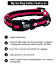 Dog Collar and Leash Set - Dog Collar in solid black with bold hot pink stripe - with product feature captions - against solid white background - Wag Trendz