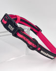 Dog Collar and Leash Set - Dog Collar in solid black with bold hot pink stripe - against solid white background - Wag Trendz