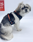 Dog Collar Harness and Leash Set - Small Dog wearing XS Dog Adjustable Harness in black & gray camo with bold orange accents - against solid white background - Wag Trendz