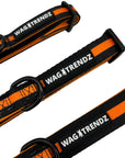 Dog Collar Harness and Leash Set - Dog Collars in solid black with bold orange stripe - against solid white background - Wag Trendz