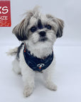 Dog Collar Harness and Leash Set - Small Dog wearing XS Dog Adjustable Harness in black & gray camo with bold orange accents - against solid white background - Wag Trendz