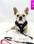 Dog Collar Harness and Leash Set - French Bulldog wearing Medium Dog Adjustable Harness with matching Dog Leash in black & gray camo with hot pink accents - against solid white background - Wag Trendz
