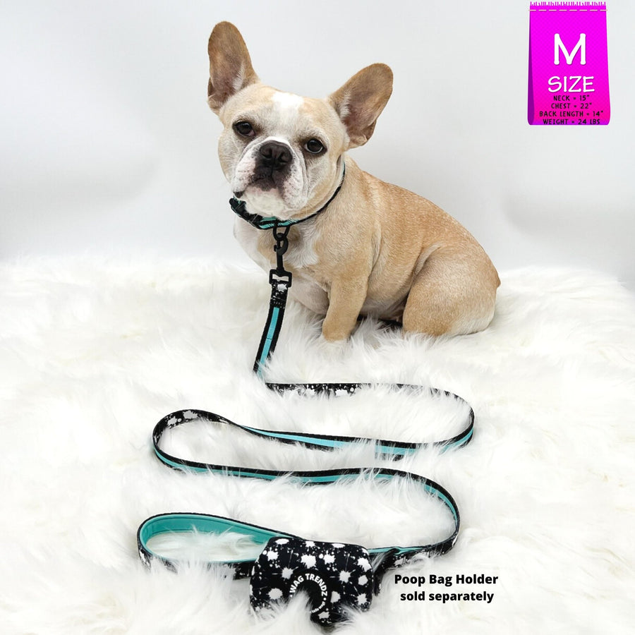 Dog Collar Harness and Leash Set - French Bulldog wearing Medium Dog Collar and Leash in black and white paint splatter design with bold teal accents and poop bag holder - against solid white background - Wag Trendz