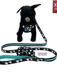 Dog Collar Harness and Leash Set - Small Dog wearing XS Dog Adjustable Harness, Leash and Poo Bag Holder in black with white paint splatter design and bold teal accents - against solid white background - Wag Trendz