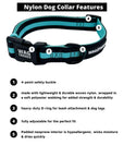 Dog Collar Harness and Leash Set - Dog Collar in solid black with bold teal stripe - product feature captions - against solid white background - Wag Trendz