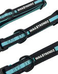 Dog Collar Harness and Leash Set - Small Medium and Large Dog Collars in solid black with bold teal stripe - against solid white background - Wag Trendz