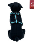 Dog Collar Harness and Leash Set - Small Dog wearing XS Dog Adjustable Harness in black with white paint splatter design and bold teal accents - back side view - against solid white background - Wag Trendz