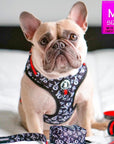 Dog Collar Harness and Leash Set - French Bulldog wearing Dog Adjustable Harness in black and white XO's with bold red accents - with matching leash and poop bag holder attached - sitting indoors - Wag Trendz