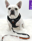 Dog Harness and Leash Set - French Bulldog wearing Black & Gray camo dog harness with Orange Accents and Matching Dog Leash attached - against solid white background - Wag Trendz