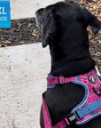 Dog Harness and Leash Set - Labradoodle wearing Bandana Boujee Dog Harness and Leash in Hot Pink with Denim Accents - standing outdoors on a sidewalk - Wag Trendz