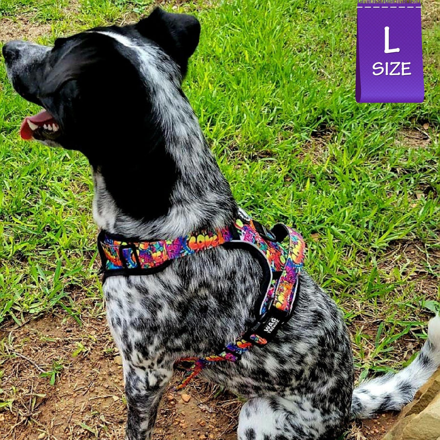 Dog Harness and Leash Set - No Pull - Handle - cattle dog mix wearing multi colored Street Graffiti dog harness - backside view - sitting outdoors in the green grass - Wag Trendz