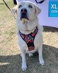 Dog Harness and Leash Set - No Pull - Handle - white Labrador wearing multi colored Street Graffiti dog harness - chest side view - sitting outdoors in the green grass - Wag Trendz