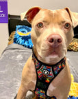 Dog Harness and Leash Set - No Pull - Handle - brown Pit Bull mix wearing multi colored Street Graffiti dog harness - chest side view - sitting indoors on the bed - Wag Trendz