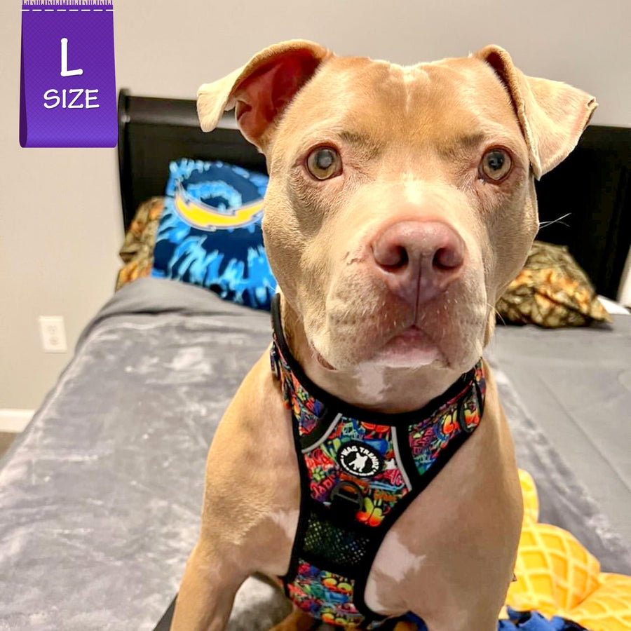 Dog Harness and Leash Set - No Pull - Handle - brown Pit Bull mix wearing multi colored Street Graffiti dog harness - chest side view - sitting indoors on the bed - Wag Trendz