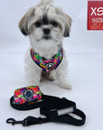 Dog Harness and Leash Set - Shih Tzu mix wearing multi-colored Street Graffiti Dog Harness Vest with medium black adjustable dog leash and matching graffiti poop bag holder - against a solid white background - Wag Trendz