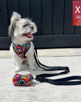 Dog Harness and Leash Set - Shih Tzu mix wearing XS Dog Harness Vest in multi-colored street graffiti with medium black adjustable dog leash and matching Graffiti Poop Bag Holder attached - sitting outdoors on concrete with black wood wall in background - Wag Trendz