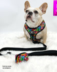 Dog Harness and Leash Set - French Bulldog wearing multi-colored street graffiti dog harness vest with large black adjustable dog leash and poo bag holder attached - against a solid white background - Wag Trendz