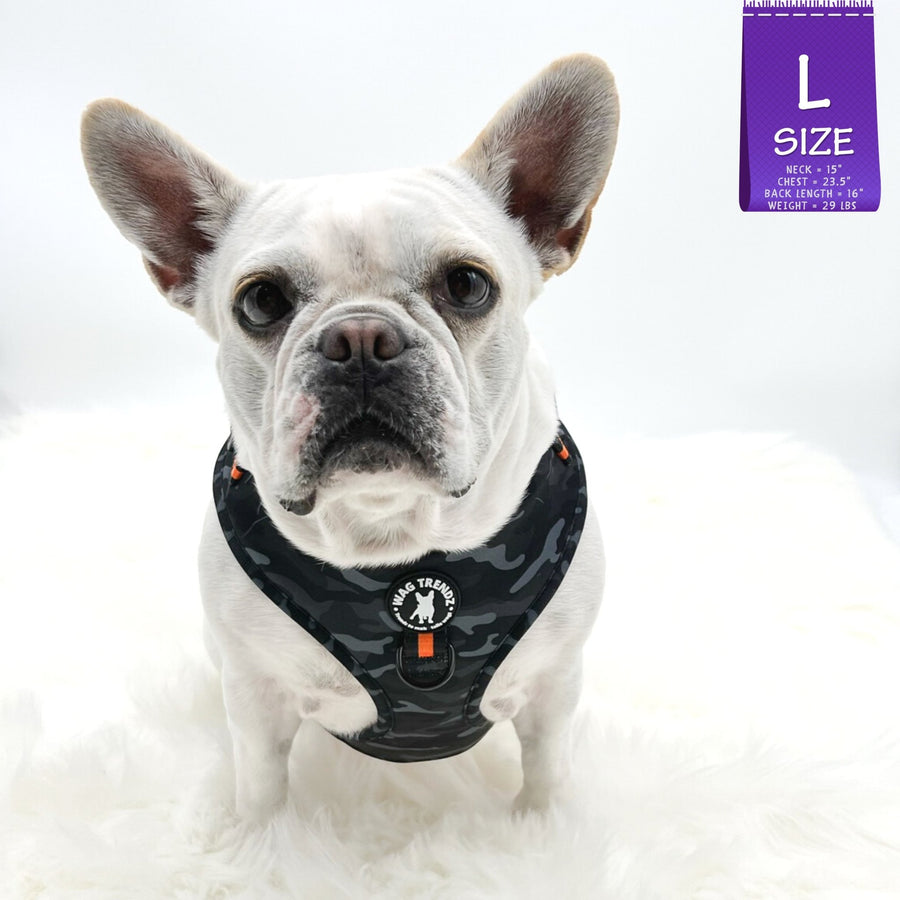 Dog Harness Vest - white Frenchie Bulldog wearing black and gray camo dog adjustable harness with front clip and orange accents - against solid white background - Wag Trendz