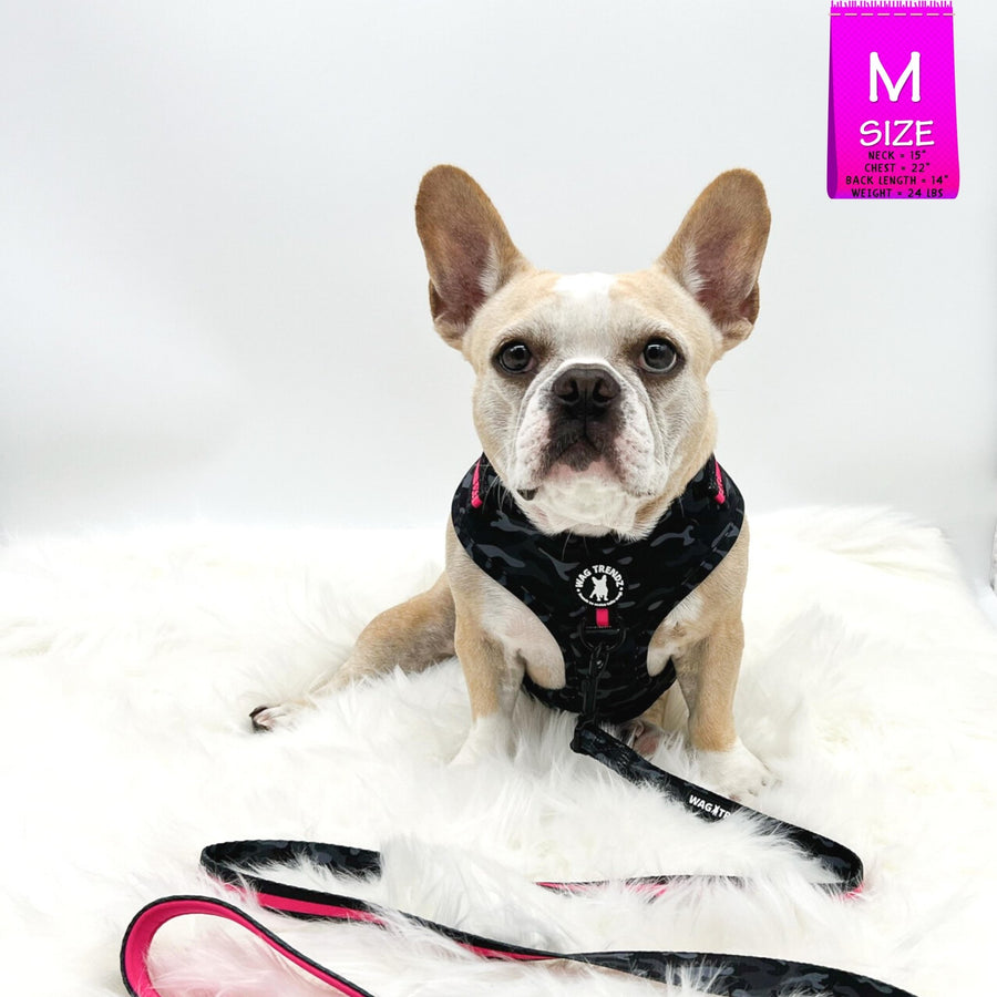 Dog Harness Vest - Frenchie Bulldog wearing black and gray camo adjustable harness with hot pink accents with matching leash attached and a front clip for pull training - against a solid white background - Wag Trendz