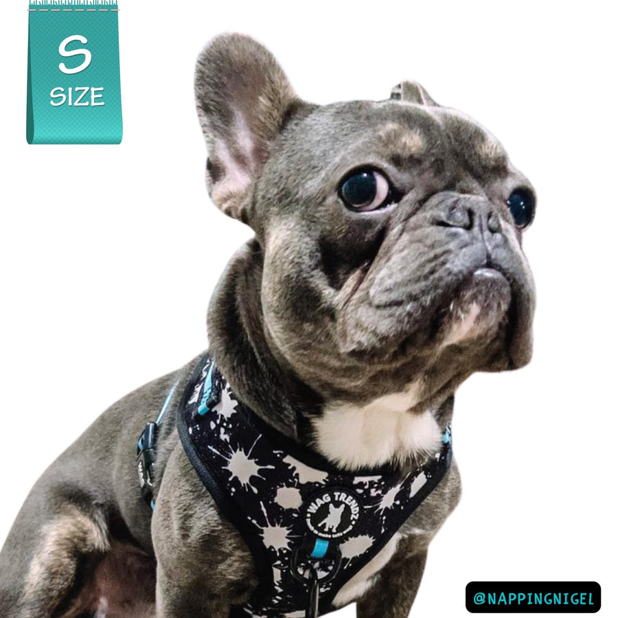 Dog Harness Vest - No Pull - Frenchie wearing black adjustable harness with white paint splatter and teal accents - front clip for no pull training - against a solid white background - Wag Trendz