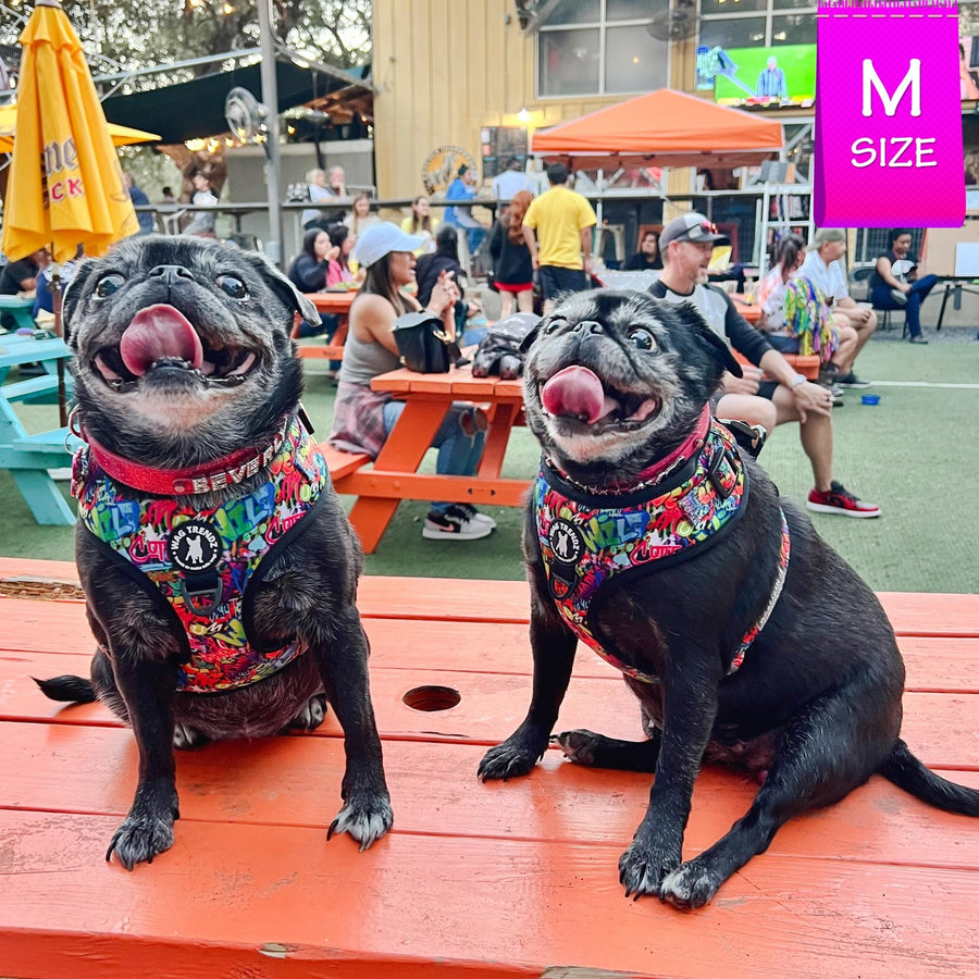 Dog Harness Vest - Adjustable - Front Clip - worn by two cute black Pugs sitting outside on orange picnic table - multi-colored street graffiti design - Wag Trendz