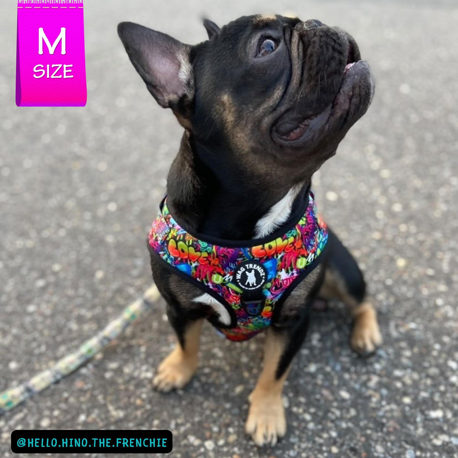 Dog Harness Vest - Adjustable - Front Clip - worn by cute black French Bulldog sitting outside - multi-colored street graffiti design - Wag Trendz
