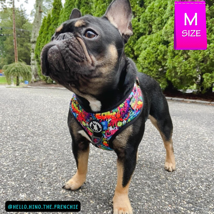 Dog Harness Vest - Adjustable - Front Clip - worn by cute black French Bulldog standing outside - multi-colored street graffiti design - Wag Trendz