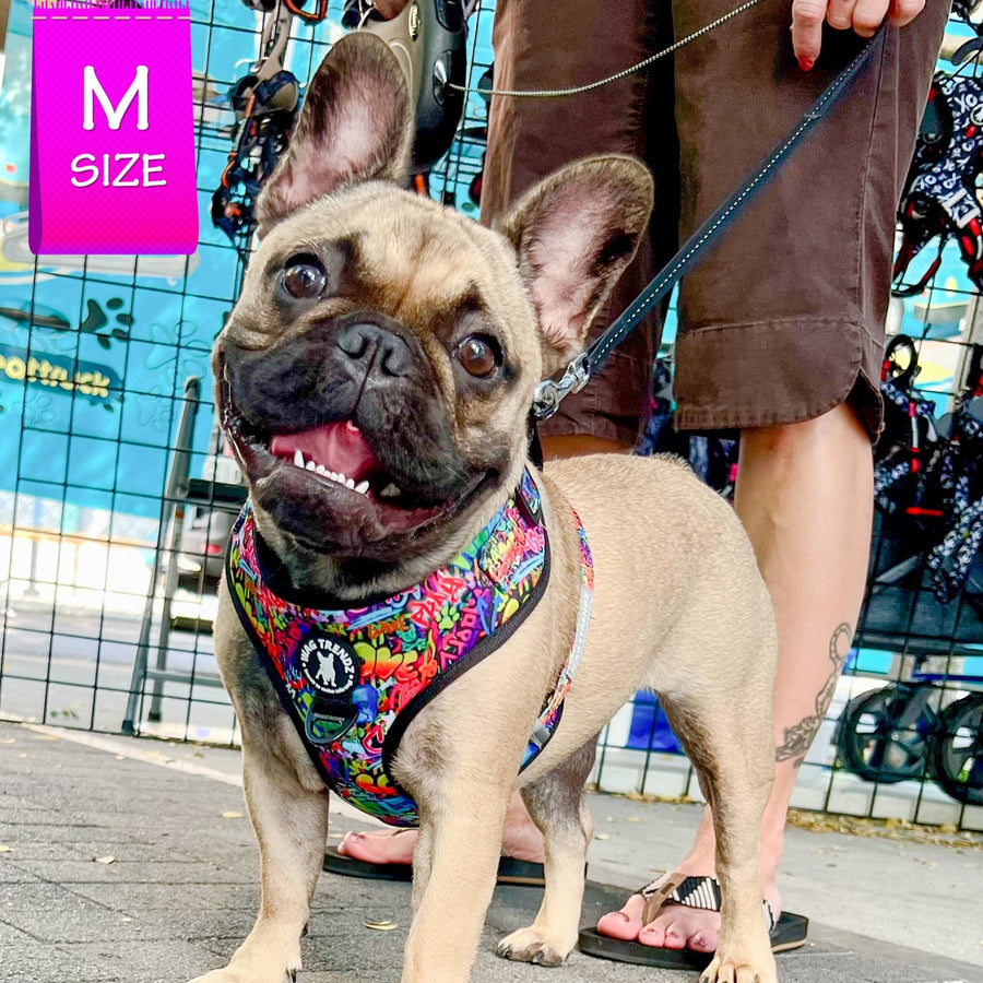 Dog Harness Vest - Adjustable - Front Clip - worn by cute French Bulldog standing outside - multi-colored street graffiti design - Wag Trendz