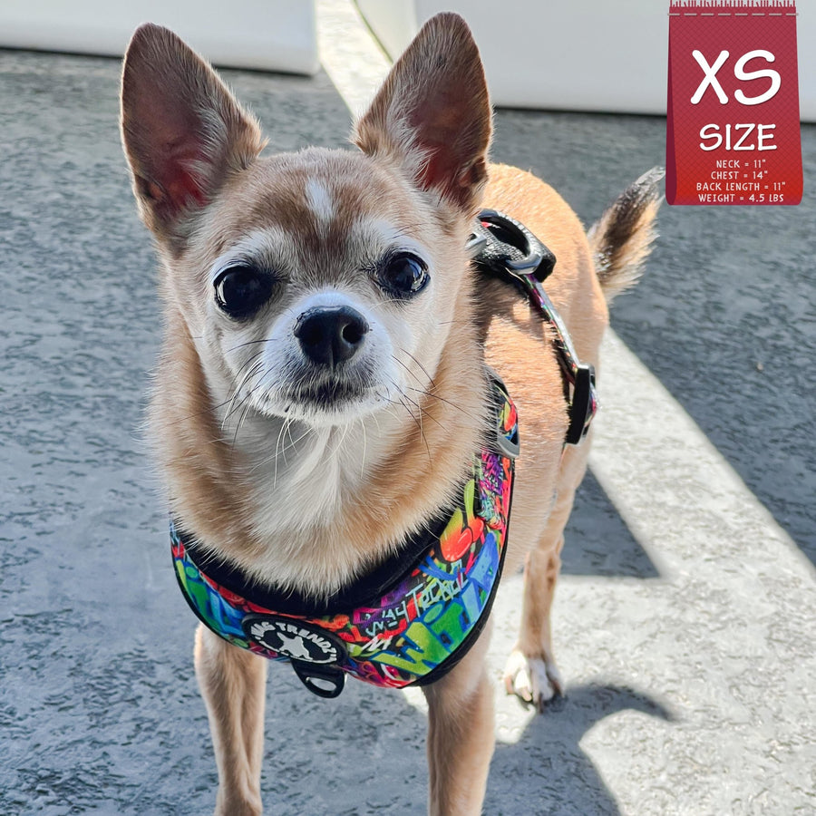 Dog Harness Vest - Adjustable - Front Clip - worn by cute Chihuahua standing outside - multi-colored street graffiti design - Wag Trendz