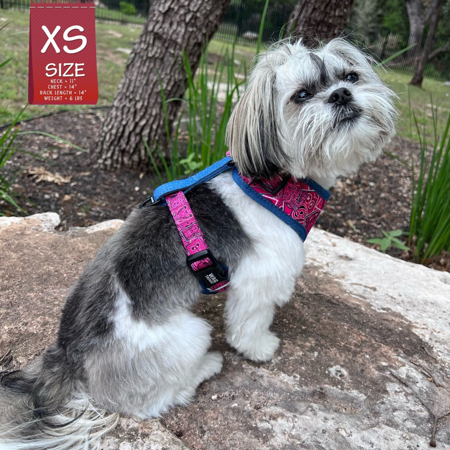 Dog Harness Vest - Adjustable - Shih Tzu wearing Bandana Boujee Hot Pink Dog Harness with Denim Accents - side view - sitting outdoors on a rock - Wag Trendz