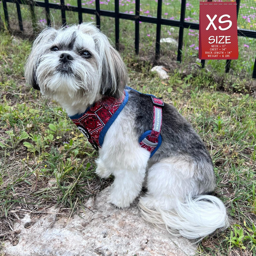 Dog Harness Vest - Adjustable - Shih Tzu wearing Red Bandana Boujee Harness with Denim Accents - a canine inspired design - sitting outdoors in the grass with black iron fence in the background  - Wag Trendz