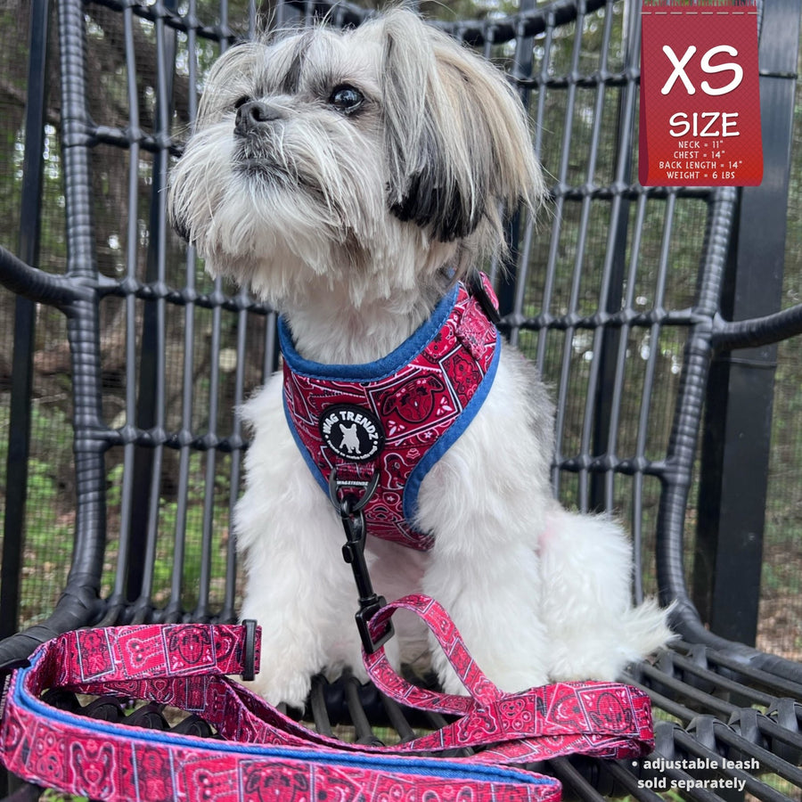 Dog Harness Vest - Adjustable - Shih Tzu wearing Red Bandana Boujee Harness with Denim Accents with matching leash attached - a canine inspired design - sitting outdoors in a black chair  - Wag Trendz