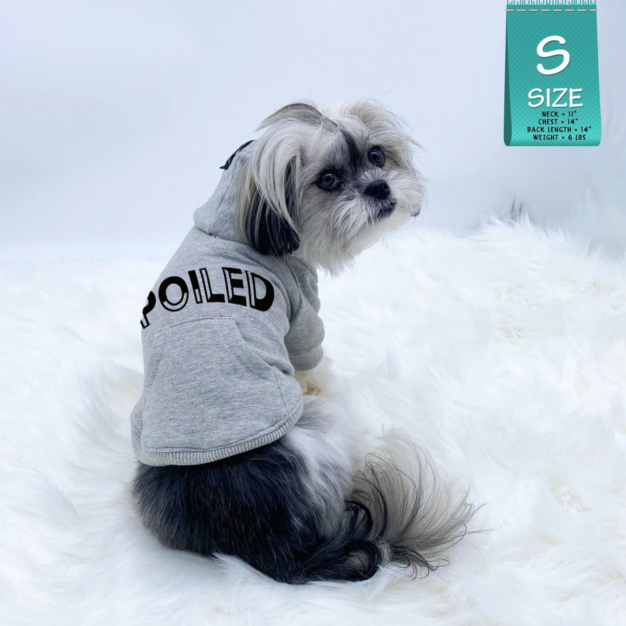 Dog Hoodie - Hoodies For Dogs - Shih Tzu wearing “SPOILED” dog hoodie in gray - backside view with SPOILED in black lettering - against a solid white background - Wag Trendz