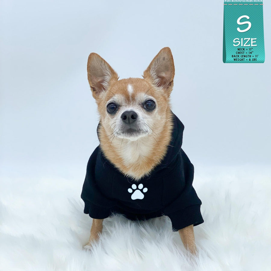 Dog Hoodie - Hoodies For Dogs - Chihuahua wearing "Stay Pawsitive" dog hoodie in black - front view with paw print - against solid white background - Wag Trendz