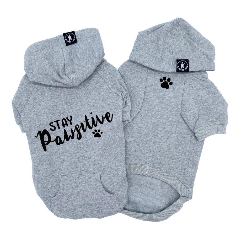 Dog Hoodie - Hoodies For Dogs - "Stay Pawsitive" dog hoodie in gray set - back view Stay Pawsitive with paw print front view with paw print - against solid white background - Wag Trendz