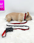 Dog Leash and Collar Set - French Bulldog wearing black nylon dog collar with bold red stripe with matching XO leash and poo bag holder attached - against solid white background - Wag Trendz