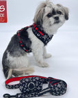 Dog Leash and Harness Set - Shih Tzu wearing XS Dog Harness Vest in black and white XO's with bold red accents and matching dog leash and poop bag holder - against solid white background - Wag Trendz