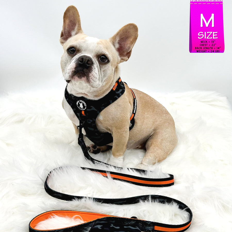 Nylon Dog Leash - French Bulldog wearing black and gray camo harness and leash attached with orange accents against a white background - Wag Trendz