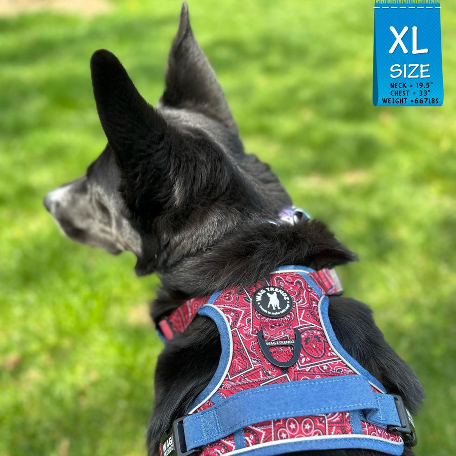 No Pull Dog Harness - with Handle - Black mix breed dog wearing Red Bandana Boujee No Pull Dog Harness with denim handle and accents - standing in green grass - Wag Trendz