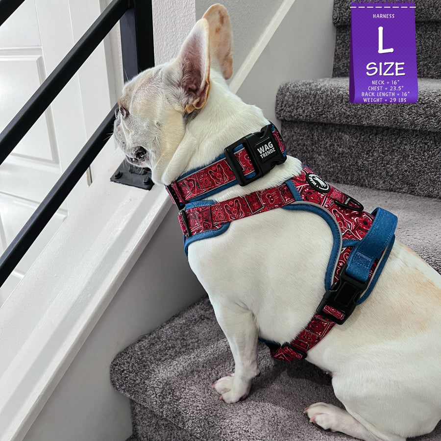 No Pull Dog Harness - with Handle - French Bulldog wearing Red Bandana Boujee No Pull Dog Harness with denim handle and accents - side view - sitting indoors on gray carpet stairs - Wag Trendz