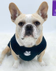 Dog T-Shirt - Frenchie Bulldog wearing "Good Life" dog t-shirt in black - with white finger peace sign emoji on chest - against a solid white background - Wag Trendz