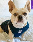 Dog T-Shirt - Frenchie Bulldog wearing "Good Life" dog t-shirt in black - with white finger peace sign emoji on chest - sitting indoors on a white bed - Wag Trendz