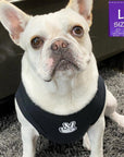 Dog T-Shirt - Frenchie Bulldog wearing "Good Life" dog t-shirt in black - with white finger peace sign emoji on chest - sitting indoors - Wag Trendz