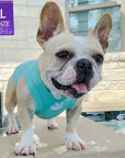 Dog T-Shirt - Frenchie Bulldog wearing "Good Life" dog t-shirt in teal - with white finger peace sign emoji on chest - standing outdoors by a pool - Wag Trendz