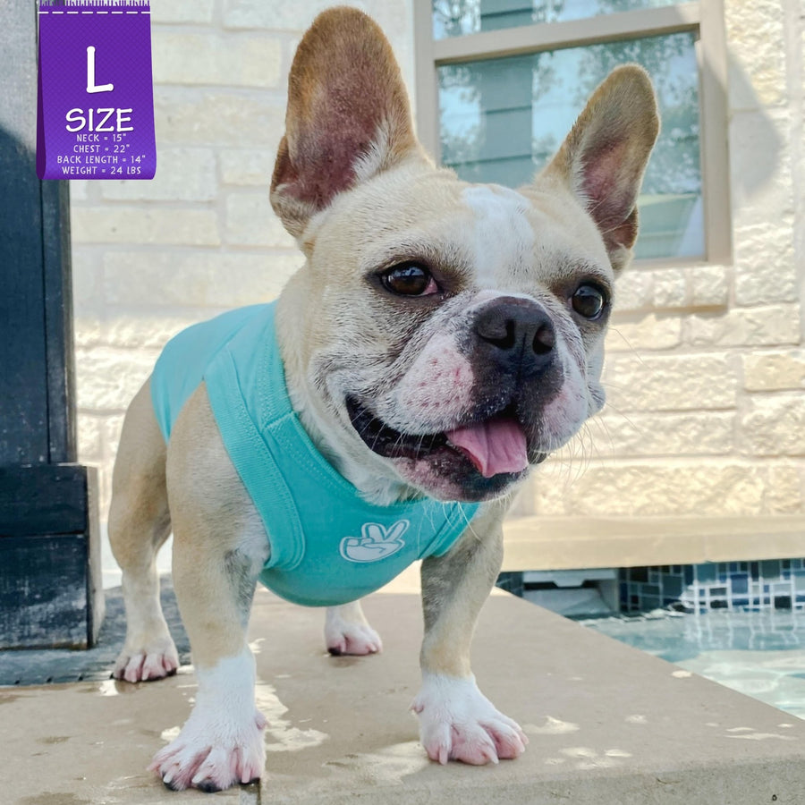 Dog T-Shirt - Frenchie Bulldog wearing "Good Life" dog t-shirt in teal - with white finger peace sign emoji on chest - standing outdoors by a pool - Wag Trendz