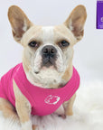 Dog T-Shirt - French Bulldog wearing "Lizard Hunter" dog t-shirt in hot pink - chest view with two Lizards making a circle emoji in white - against solid white background - Wag Trendz