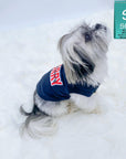 Dog T-Shirt - Shih Tzu mix wearing "Sorry Not Sorry" black dog t-shirt with red and white lettering on back - against solid white background - Wag Trendz